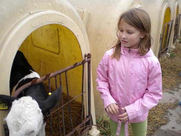 Deti za kravou 082 My a teliatka